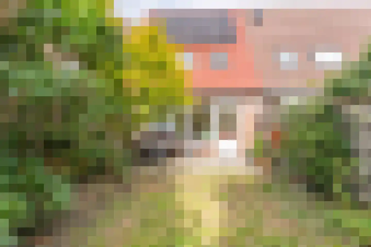 Kruidenschans 29 Voorhout thumbnail 32