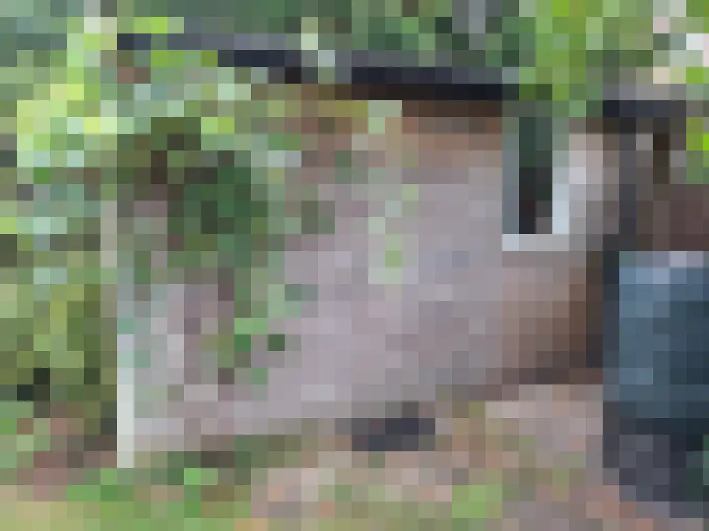 Kruidenschans 29 Voorhout thumbnail 33