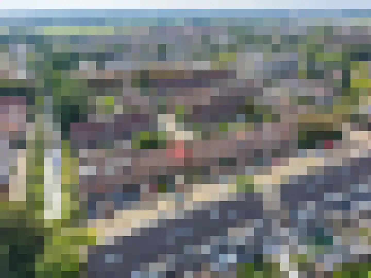 Kruidenschans 29 Voorhout thumbnail 36