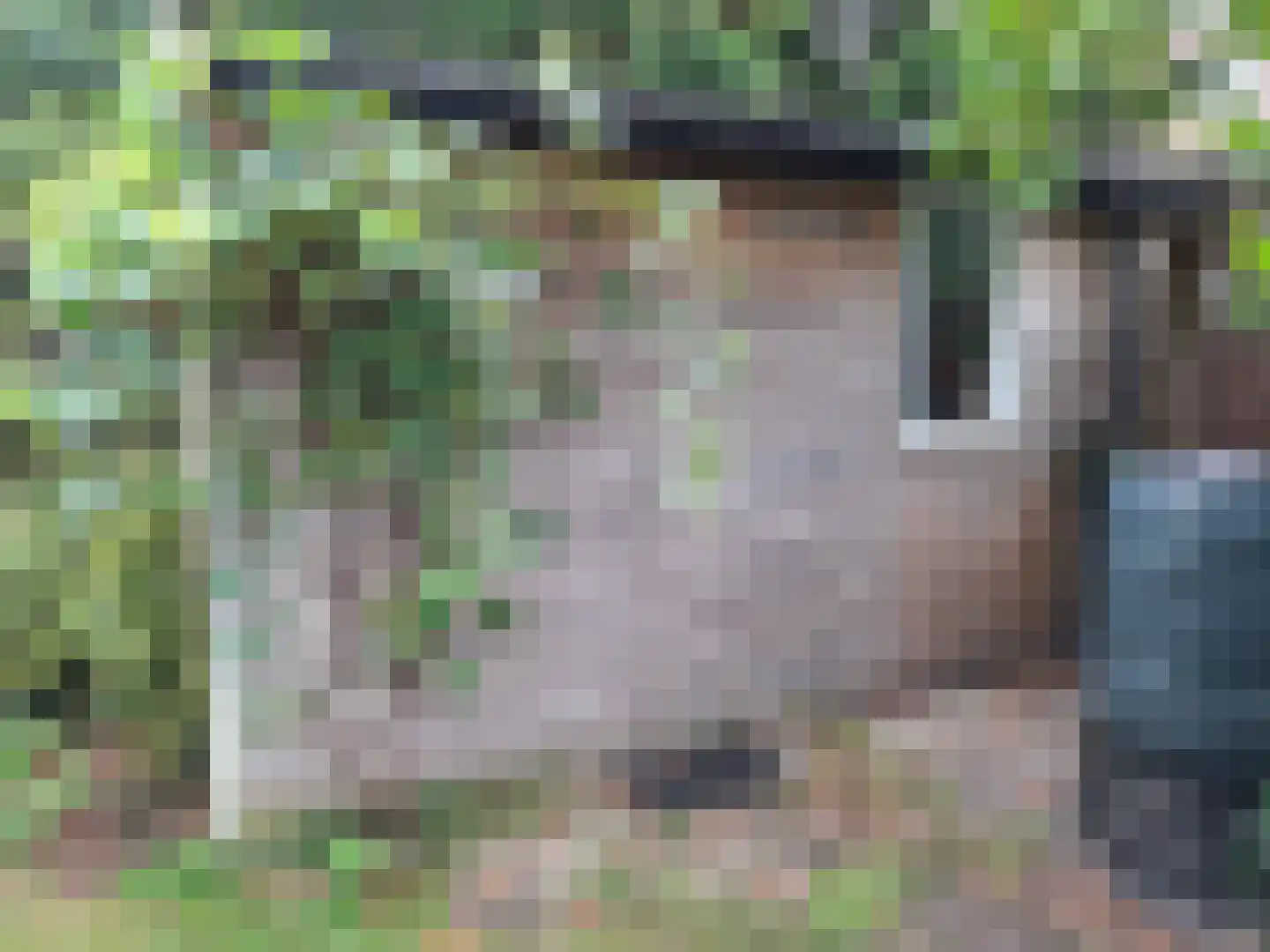 Kruidenschans 29 Voorhout thumbnail 38