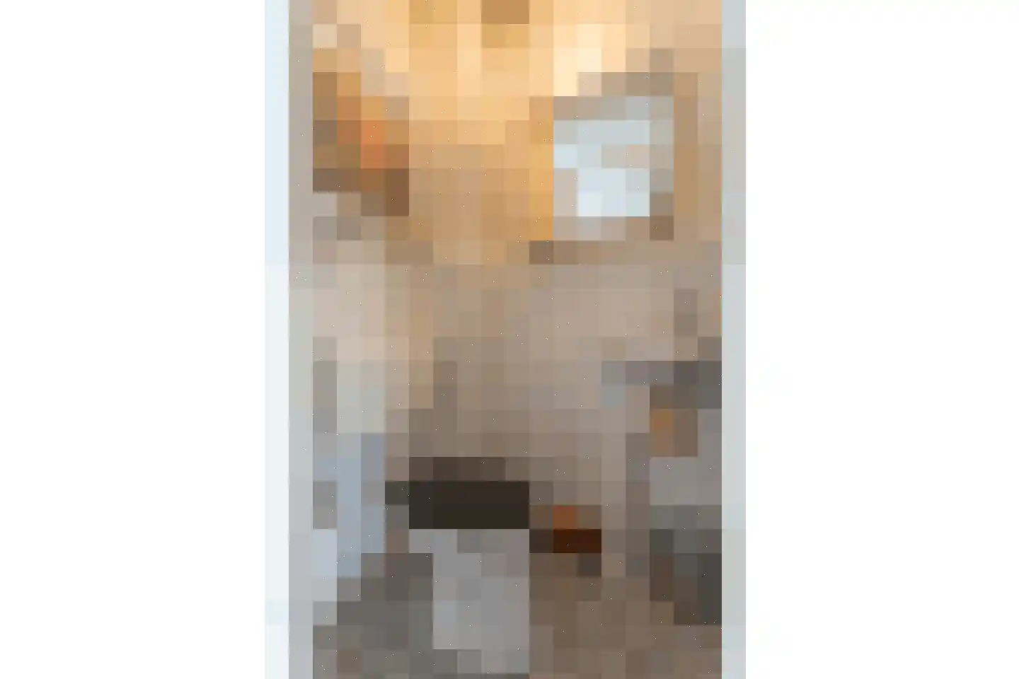 Kruidenschans 29 Voorhout thumbnail 5