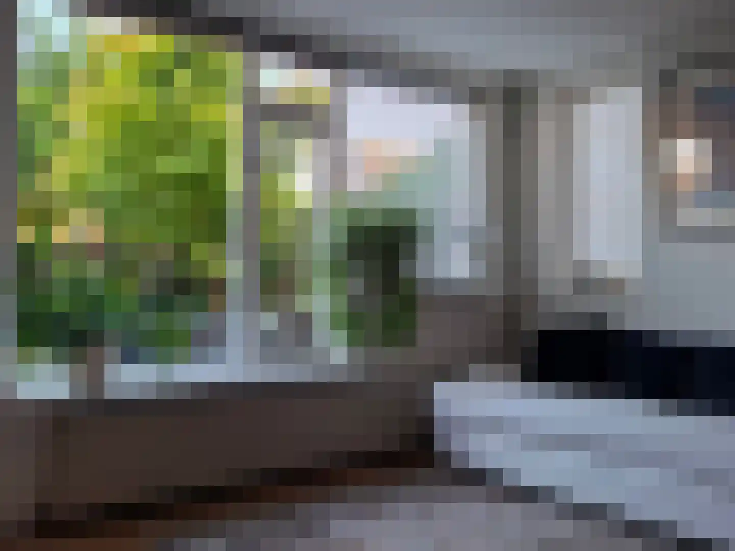 Kruidenschans 29 Voorhout thumbnail 7
