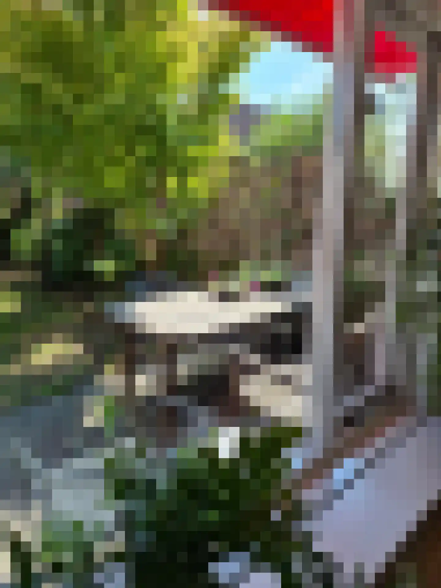 Kruidenschans 29 Voorhout thumbnail 9