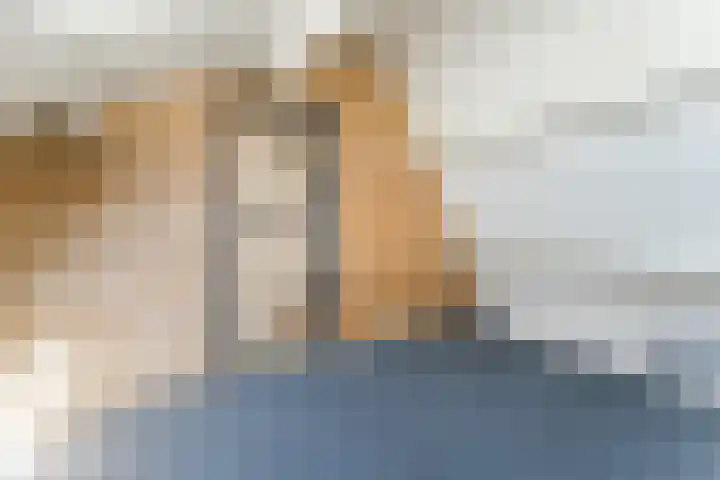 Kruidenschans 33 Voorhout thumbnail 18
