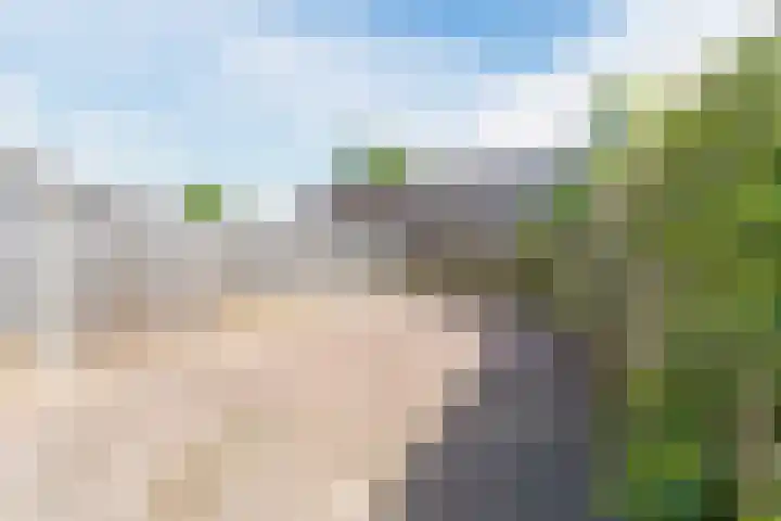 Kruidenschans 33 Voorhout thumbnail 21