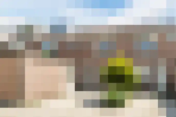 Kruidenschans 33 Voorhout thumbnail 23