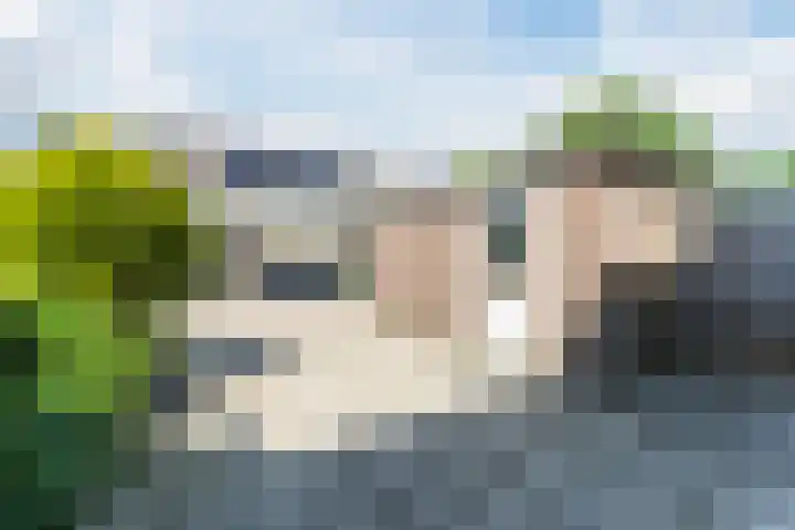 Kruidenschans 33 Voorhout thumbnail 24