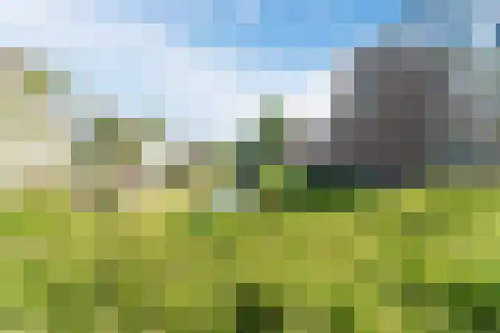 Kruidenschans 33 Voorhout thumbnail 26
