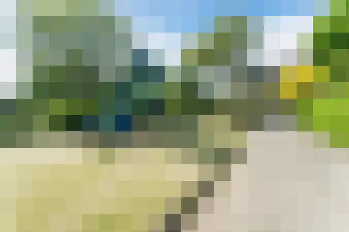 Kruidenschans 33 Voorhout thumbnail 27