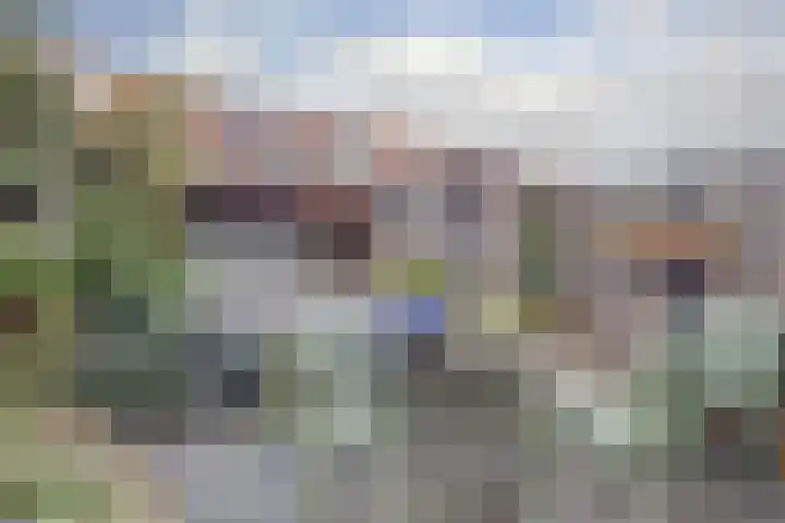 Kruidenschans 42 Voorhout thumbnail 17