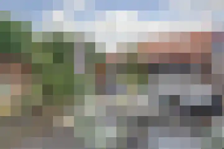 Kruidenschans 42 Voorhout thumbnail 18