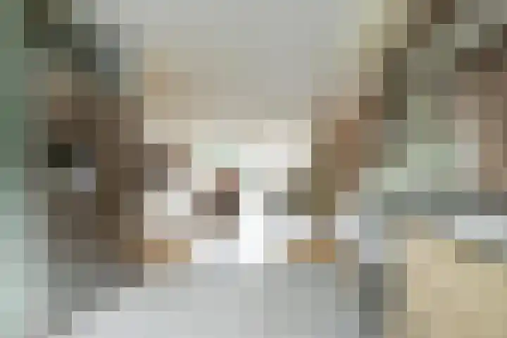 Kruidenschans 42 Voorhout thumbnail 23