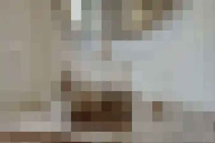 Kruidenschans 42 Voorhout thumbnail 31