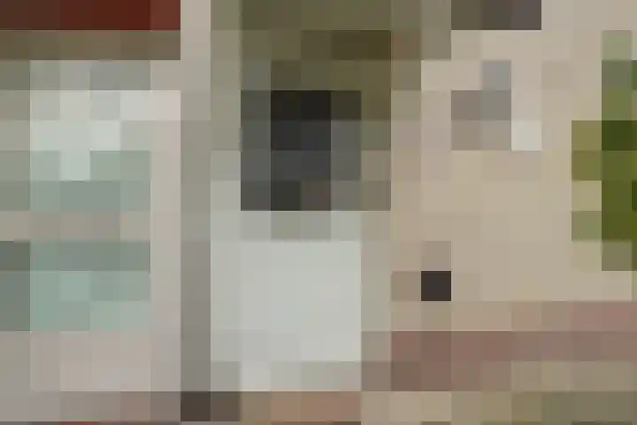 Kruidenschans 42 Voorhout thumbnail 8
