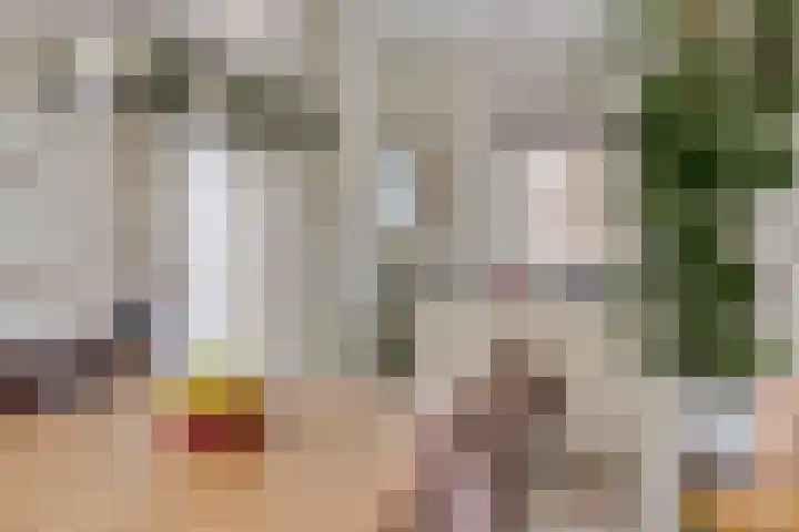 Kruidenschans 6 Voorhout thumbnail 11
