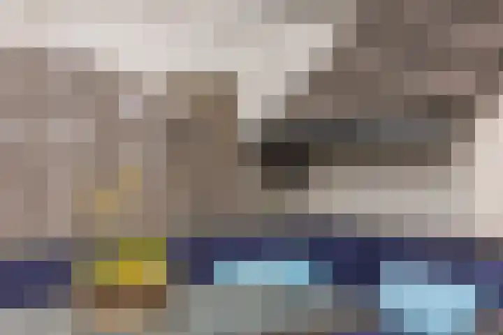 Kruidenschans 6 Voorhout thumbnail 16