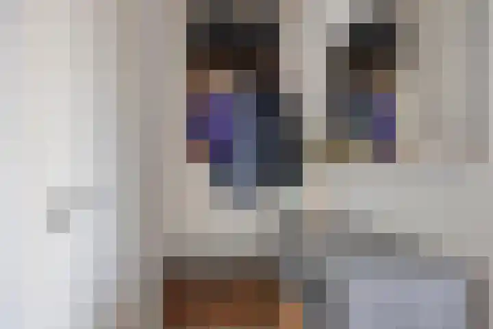 Kruidenschans 6 Voorhout thumbnail 4