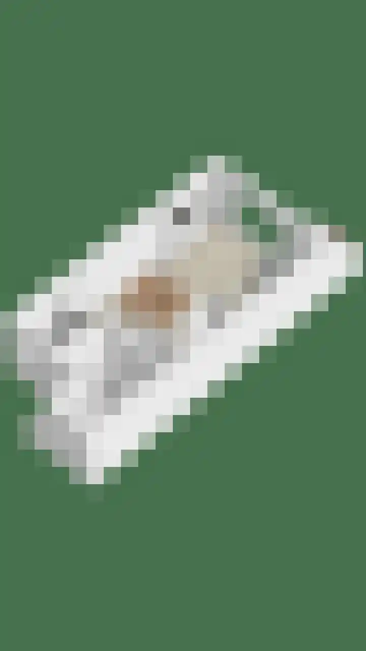 Kruidenschans 6 Voorhout thumbnail 44