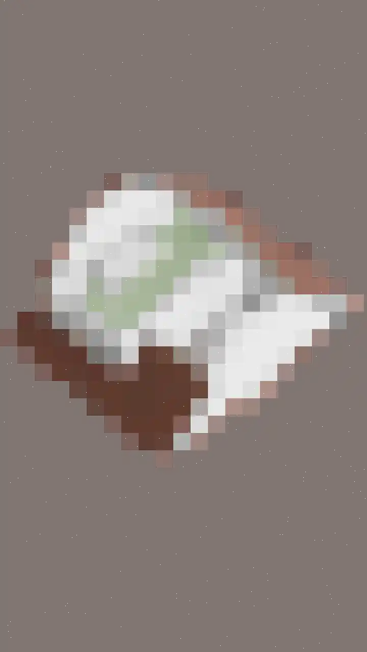 Kruidenschans 6 Voorhout thumbnail 46