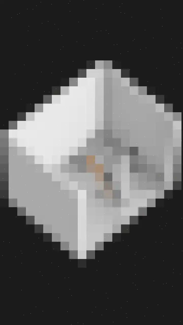 Kruidenschans 6 Voorhout thumbnail 48