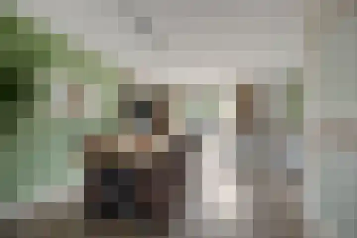 Kruidenschans 6 Voorhout thumbnail 5