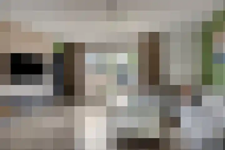 Kruidenschans 6 Voorhout thumbnail 6