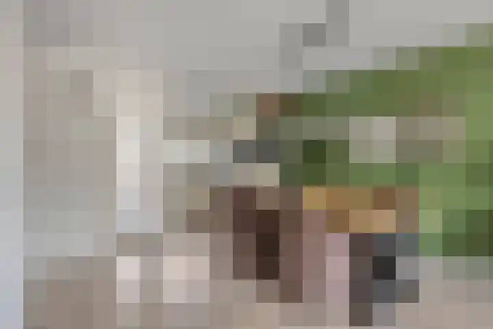 Kruidenschans 6 Voorhout thumbnail 8