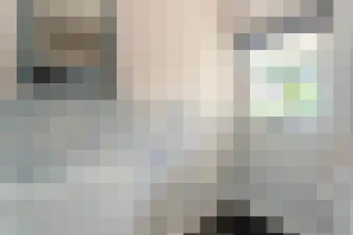 Kruidenschans 8 Voorhout thumbnail 12