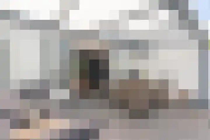Kruidenschans 8 Voorhout thumbnail 26