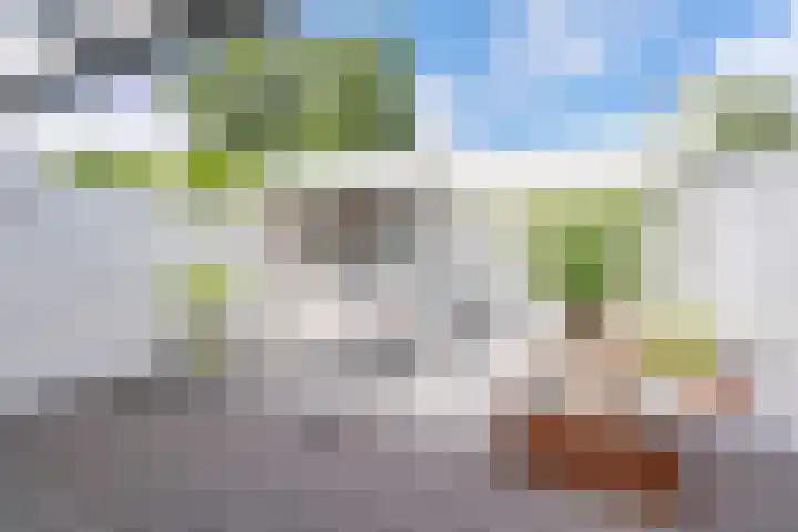 Kruidenschans 8 Voorhout thumbnail 27