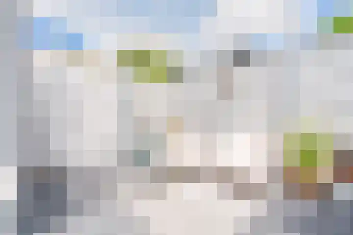 Kruidenschans 8 Voorhout thumbnail 28
