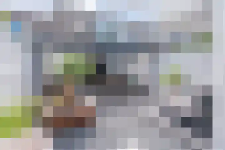 Kruidenschans 8 Voorhout thumbnail 29