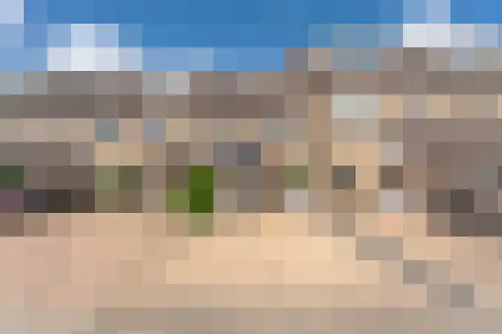 Kruidenschans 8 Voorhout thumbnail 30