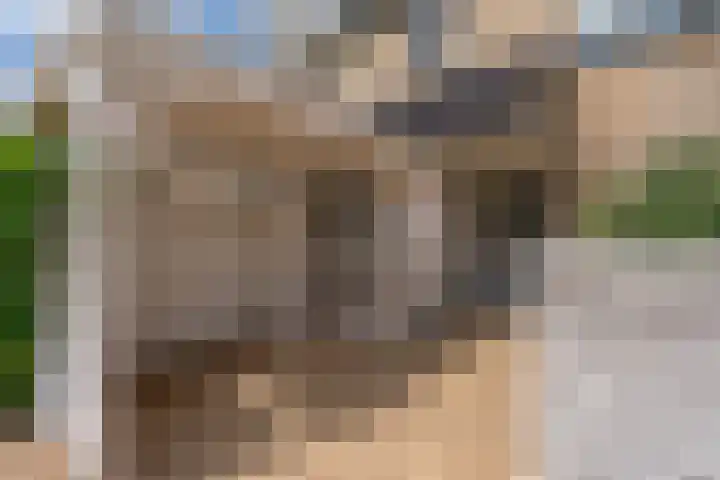Kruidenschans 8 Voorhout thumbnail 31