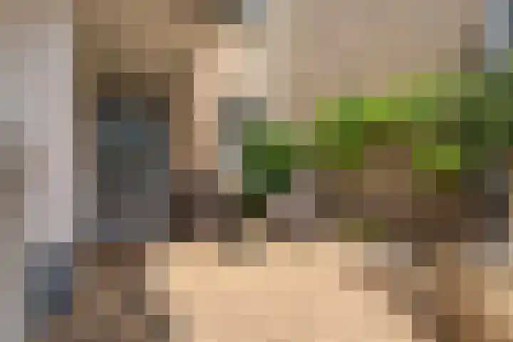 Kruidenschans 8 Voorhout thumbnail 32