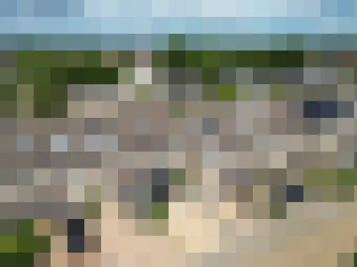 Kruidenschans 8 Voorhout thumbnail 35