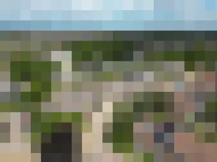 Kruidenschans 8 Voorhout thumbnail 36