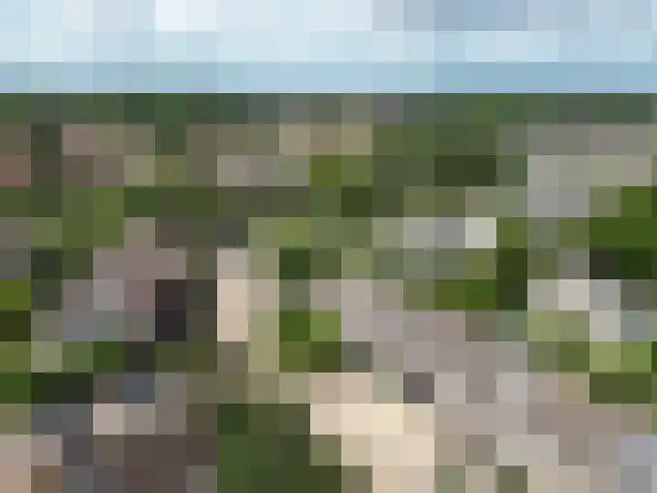 Kruidenschans 8 Voorhout thumbnail 37
