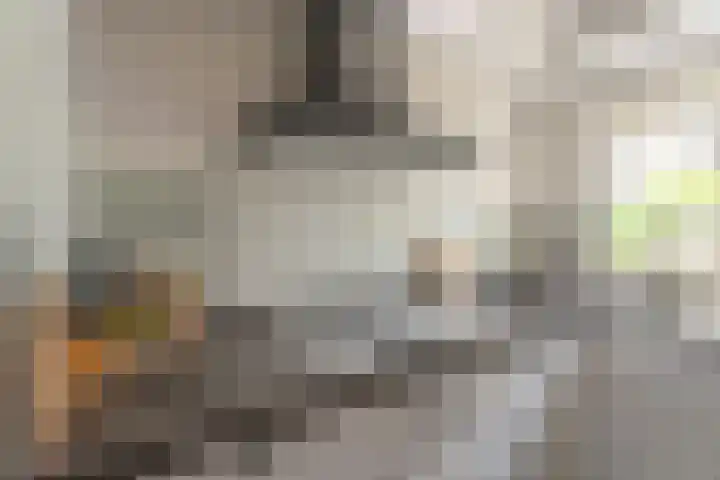 Kruidenschans 8 Voorhout thumbnail 8