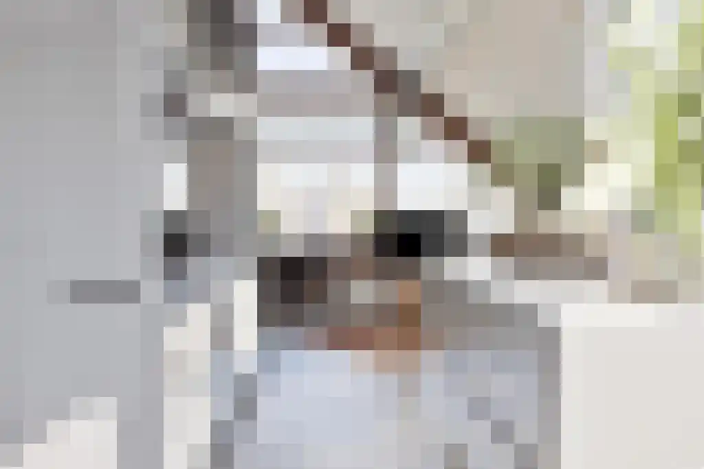 Kruidenstraat 1 e Bemmel thumbnail 12