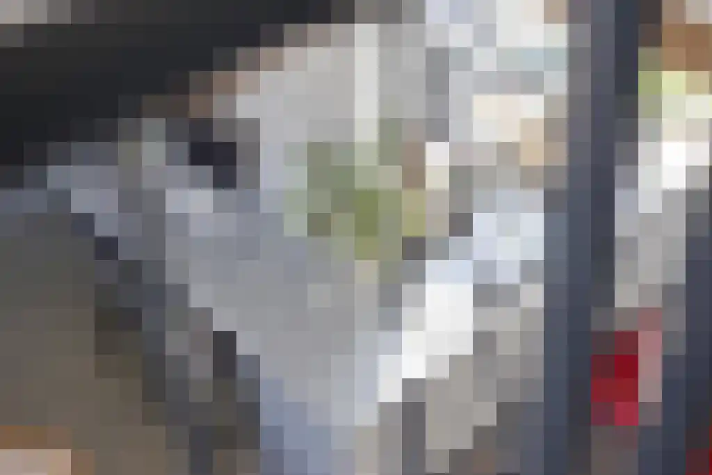 Kruidenstraat 1 e Bemmel thumbnail 18