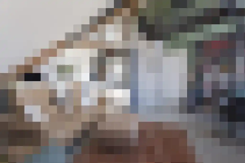 Kruidenstraat 1 e Bemmel thumbnail 8