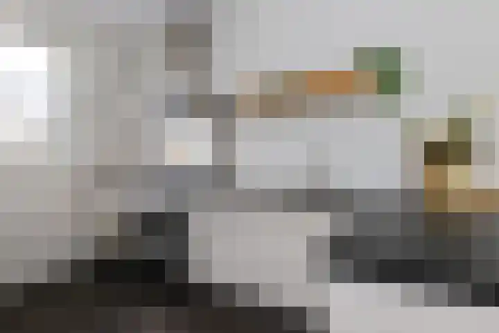 Kruidenstraat 31 Nijmegen thumbnail 11
