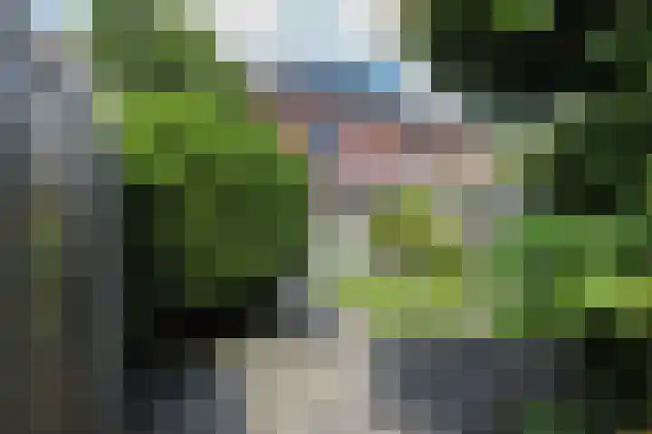 Kruidenstraat 31 Nijmegen thumbnail 33