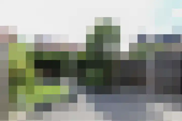 Kruidenstraat 31 Nijmegen thumbnail 36
