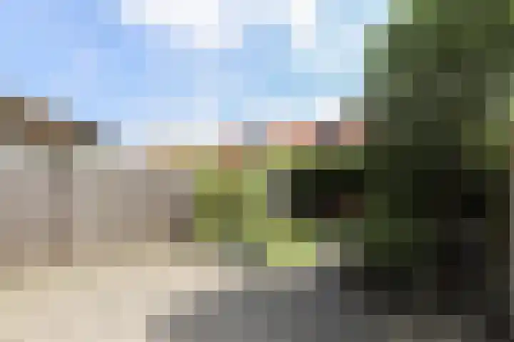 Kruidenstraat 31 Nijmegen thumbnail 37