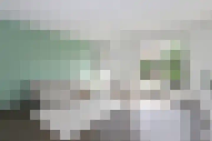 Kruidenstraat 31 Nijmegen thumbnail 5