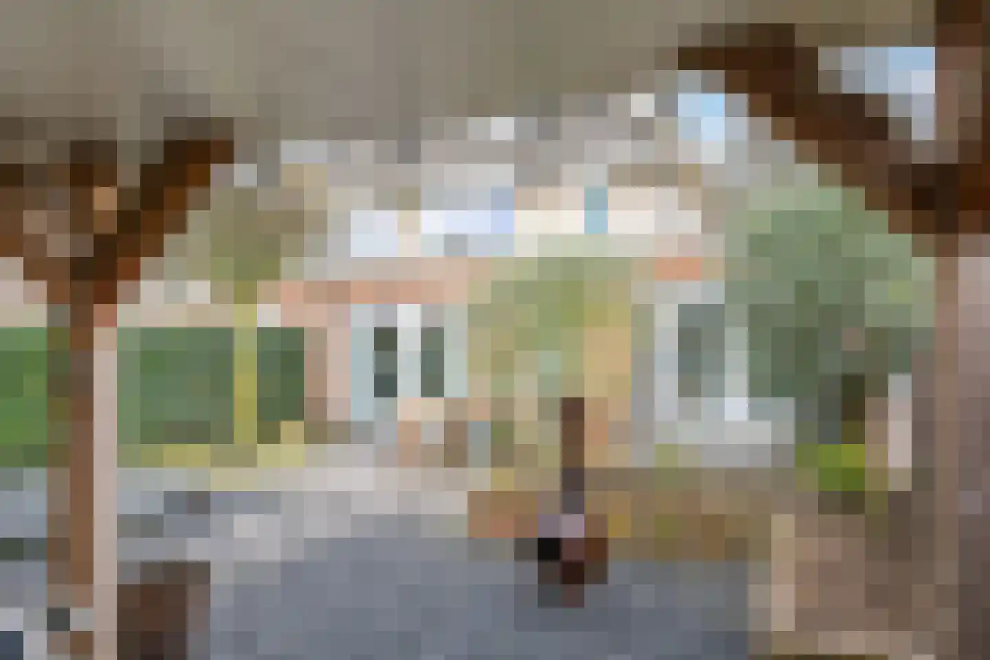 Kruidenstraat 46 Bemmel thumbnail 66