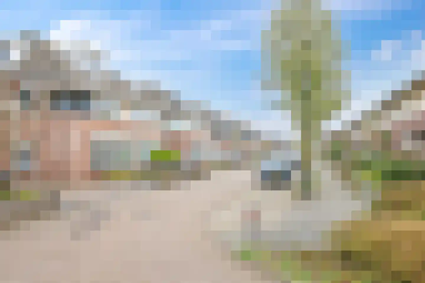 Kruidenstraat 46 Bemmel thumbnail 80