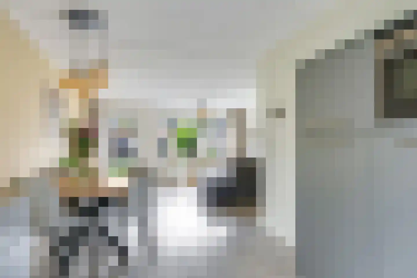 Kruidenstraat 47 Bemmel thumbnail 23